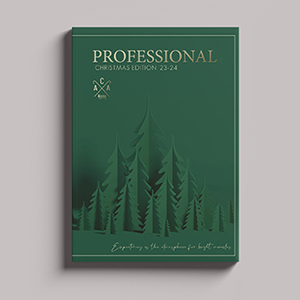 CHRISTMAS PROFESSIONAL