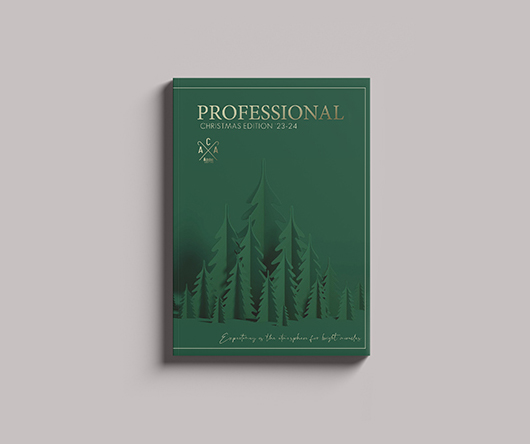 CHRISTMAS PROFESSIONAL