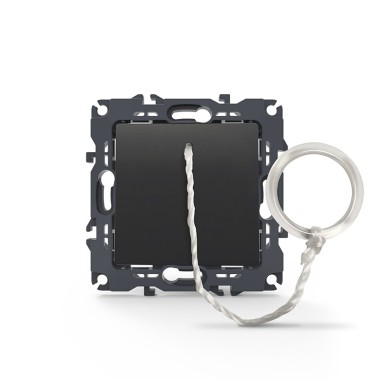 PRIME PUSH BUTTON CORD SWITCH SCREWLESS 1P 10A 250VAC IP20 ANTHRACITE