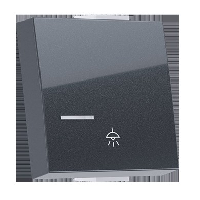  MODYS BUTTON WITH INDICATOR & LIGHT SYMBOL 2 M. ANTHRACITE