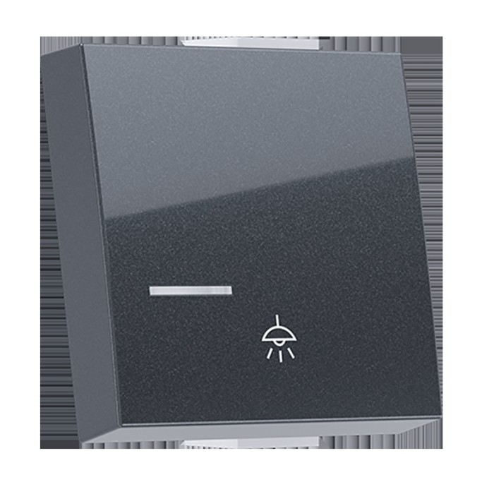  MODYS BUTTON WITH INDICATOR & LIGHT SYMBOL 2 M. ANTHRACITE
