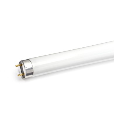 T8 FLUORESCENT 36W 6400K 2550Lm 1200mm Ra85 12000hrs DIOLAMP