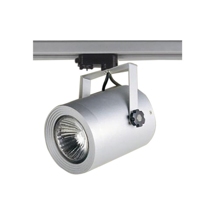 TRACK PROJECTOR PAR30 GREY