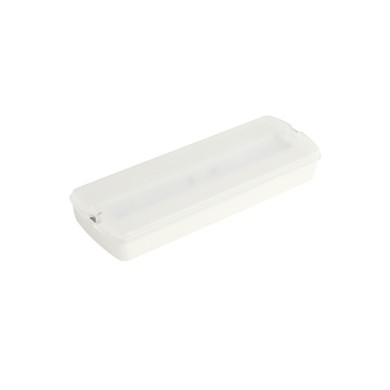 LED EMERGENCY LIGHT 2W 1,5HRS 100LM 6000K 230V