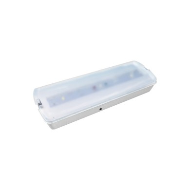 LED EMERGENCY LIGHT 2W 3HRS 100LM 6000K 230V TEST BUTTON