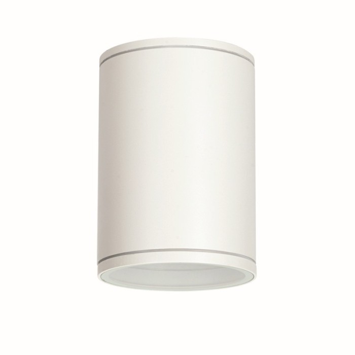 E27 PAR30  ROUND CEILING LUMINAIRE 230V AC MATT WHITE IP65 MAX.35W