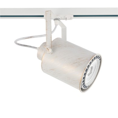 TRACK SPOT PAR30 3C WHITE GOLD BRUSHED No13