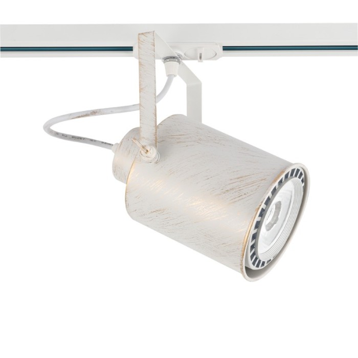 TRACK SPOT PAR30 3C WHITE GOLD BRUSHED No13