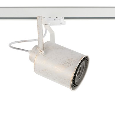 TRACK SPOT PAR30 4C WHITE GOLD BRUSHED No13