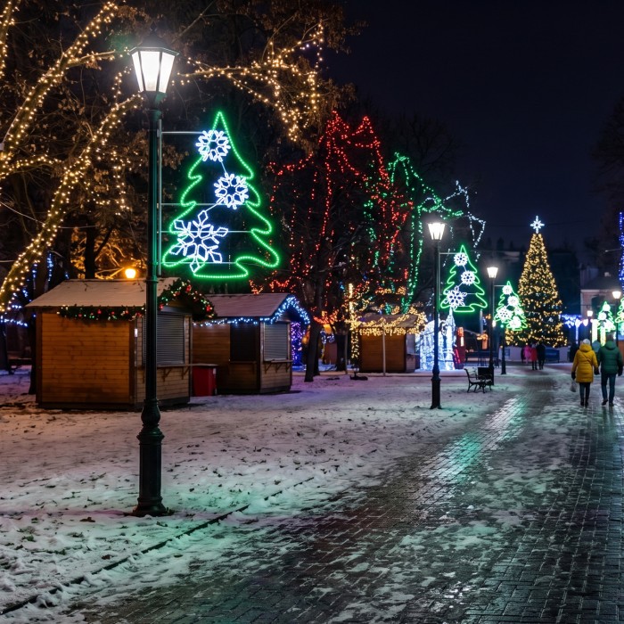 STREET POLE XMAS TREE  MOTIF 24m WHITE& GREEN ROPE LIGHTS 1,5m CABLE IP65 1850x900x50mm
