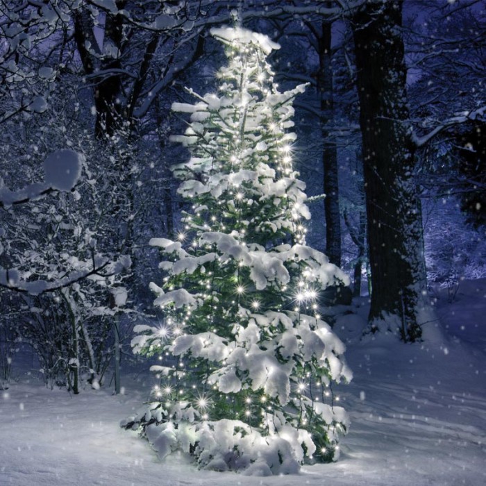 ΧΡΙΣΤΟΥΓΕΝΝΙΑΤΙΚΑ ΛΑΜΠΑΚΙΑ ΧΤΑΠΟΔΙ 10 ΣΕΙΡΕΣx35 ΛΑΜΠΑΚΙΑ ΨΥΧΡΟ ΛΕΥΚΟ ΑΝΤΑΠΤΟΡΑ (31VDC) & ΠΡΑΣΙΝΟ ΚΑΛΩΔΙΟ 3m IP44 100x3500mm  