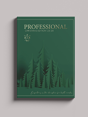 CHRISTMAS PROFESSIONAL 2024