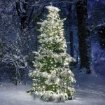 ^ 350 LED OCTOPUS LIGHTS, WW, ADAPT.(31VDC), CONNECT (10 ROWS) IP44, 10*350cm, GREEN CABLE